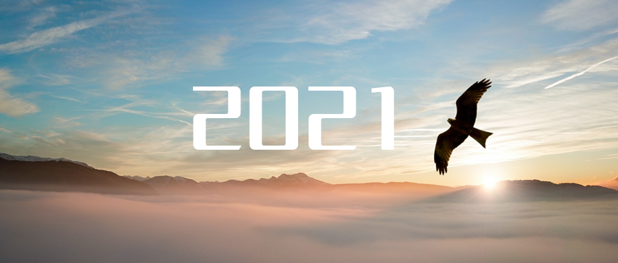 乘“峰”而上，智“盈”未來 ——2021年盈峰環(huán)境高級資深副總裁新年開工動員